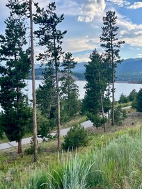 View from the patio!