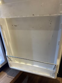 Mold in fridge