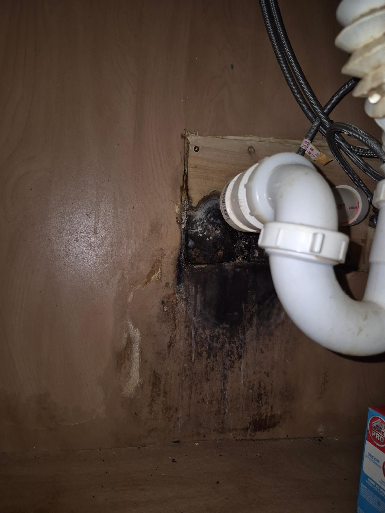 Black mold under kitchen sink.  
