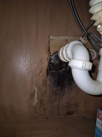 Black mold under kitchen sink.