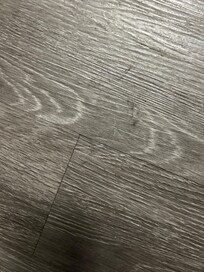 Hair on the floor and dust ball!!