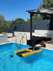 Not Treppe für Hunde, hatten wir dabei