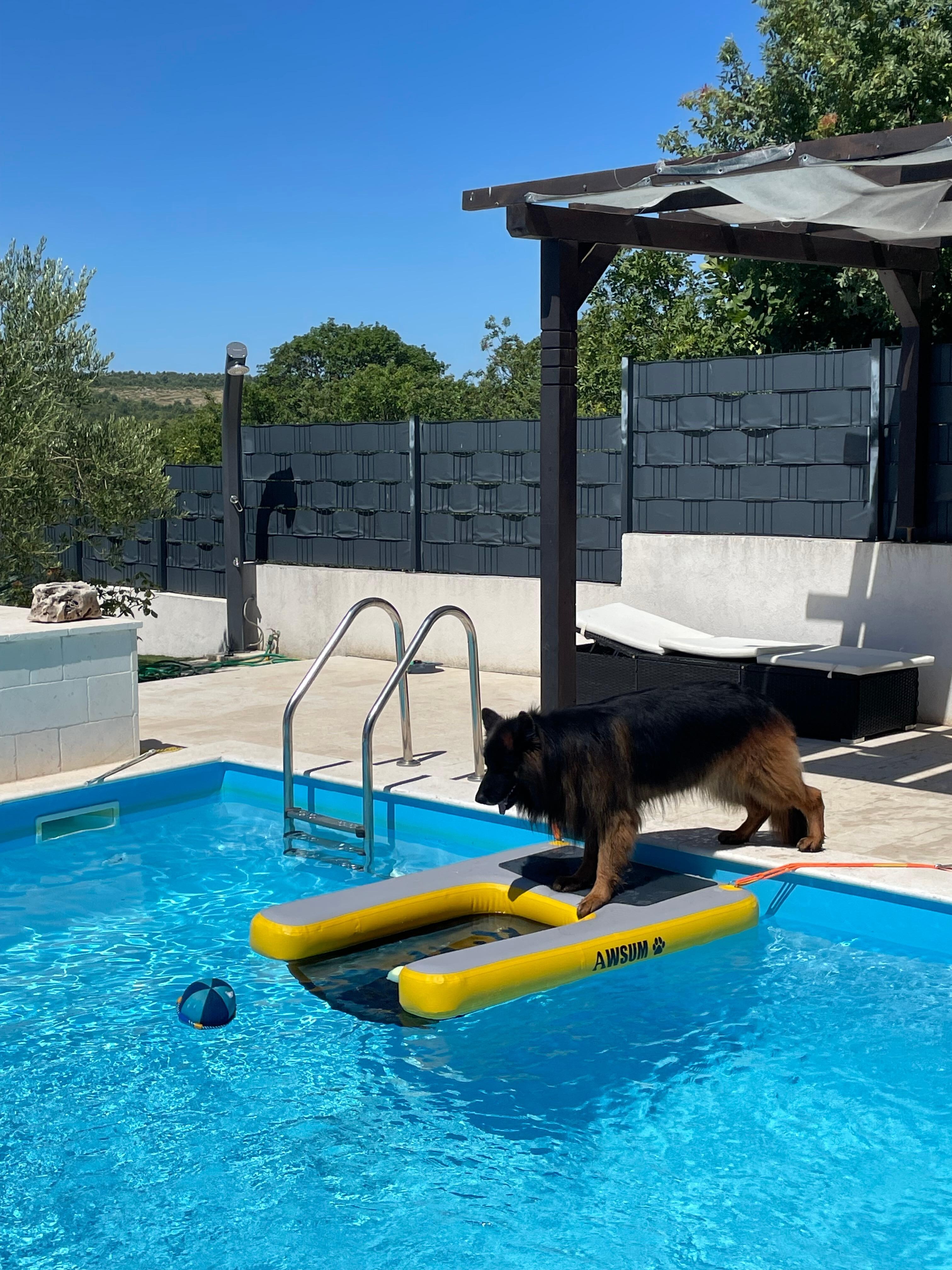 Not Treppe für Hunde, hatten wir dabei