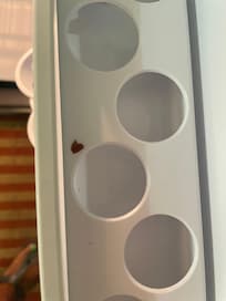 Something in the refrigerator