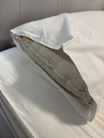 Stain and old pillows