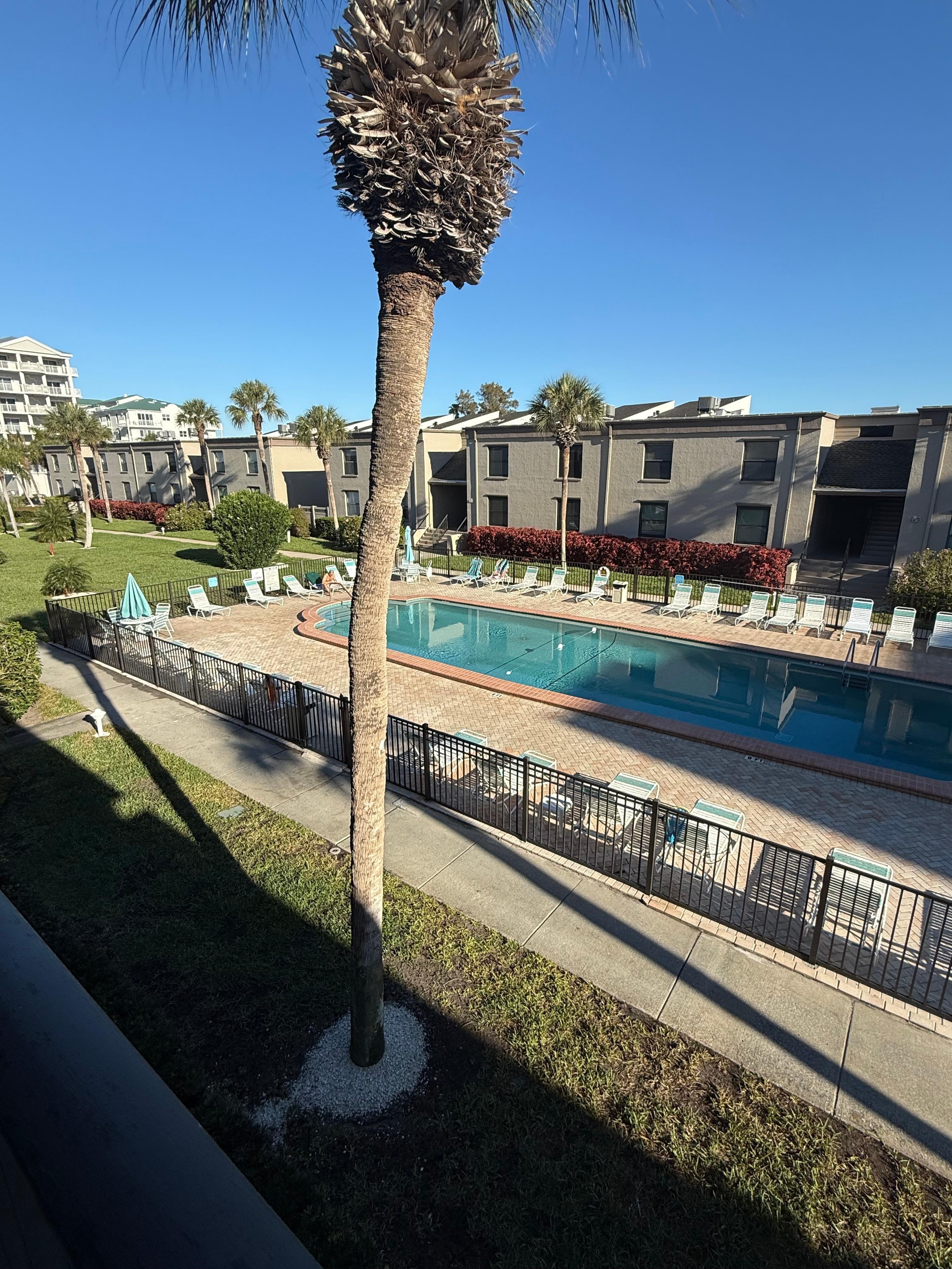 A friend in the pool. 