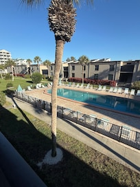 A friend in the pool.