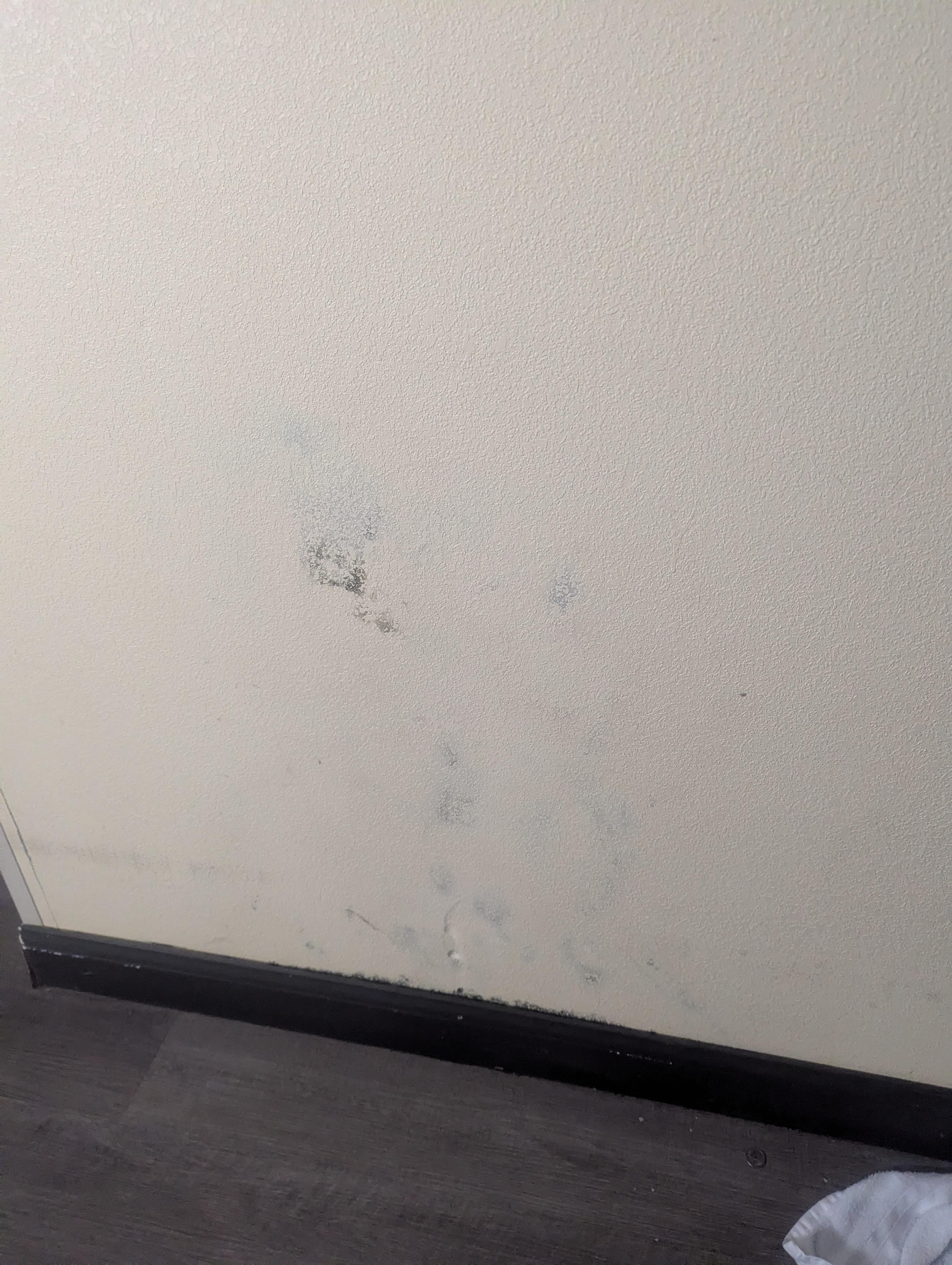 Wall where you can very visibility see black mold 