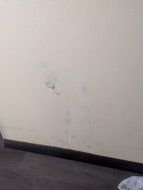Wall where you can very visibility see black mold