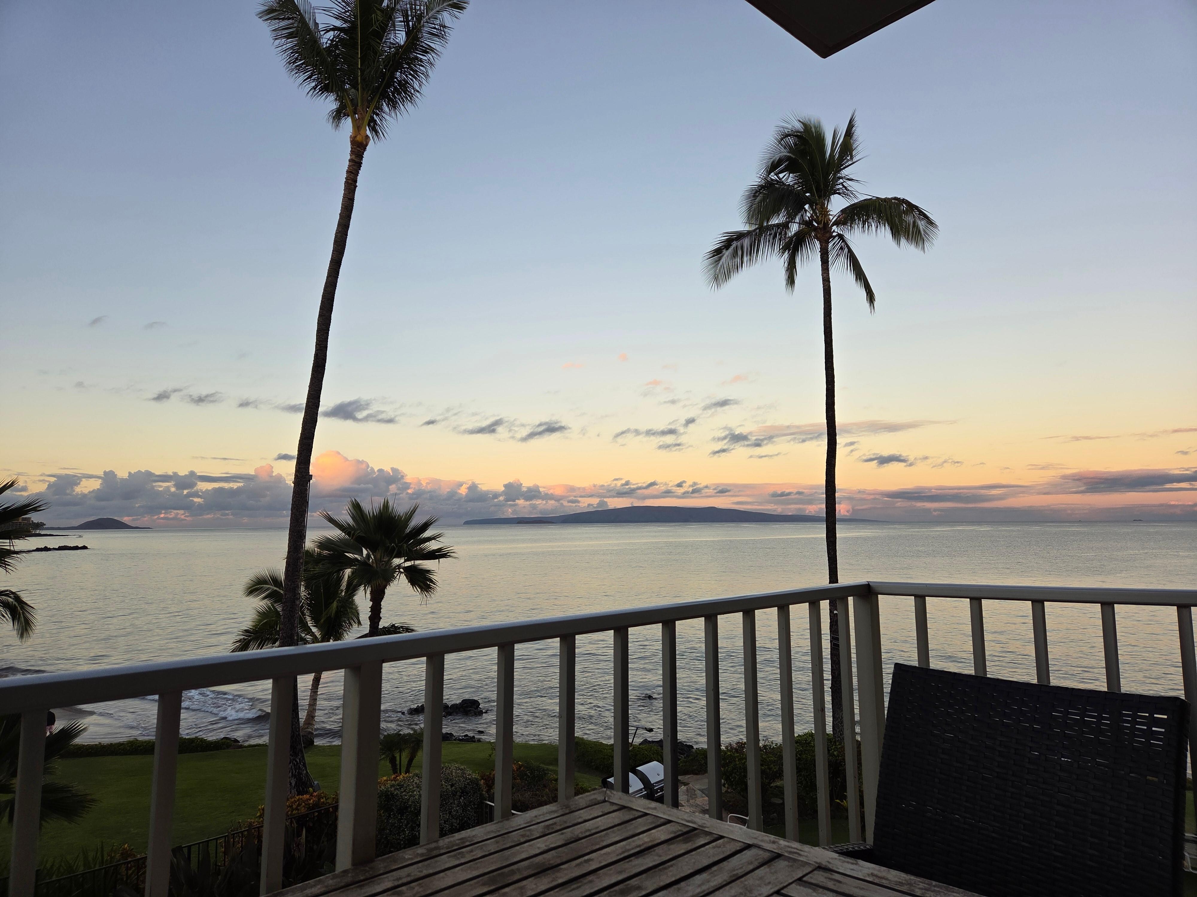 Morning view from the patio