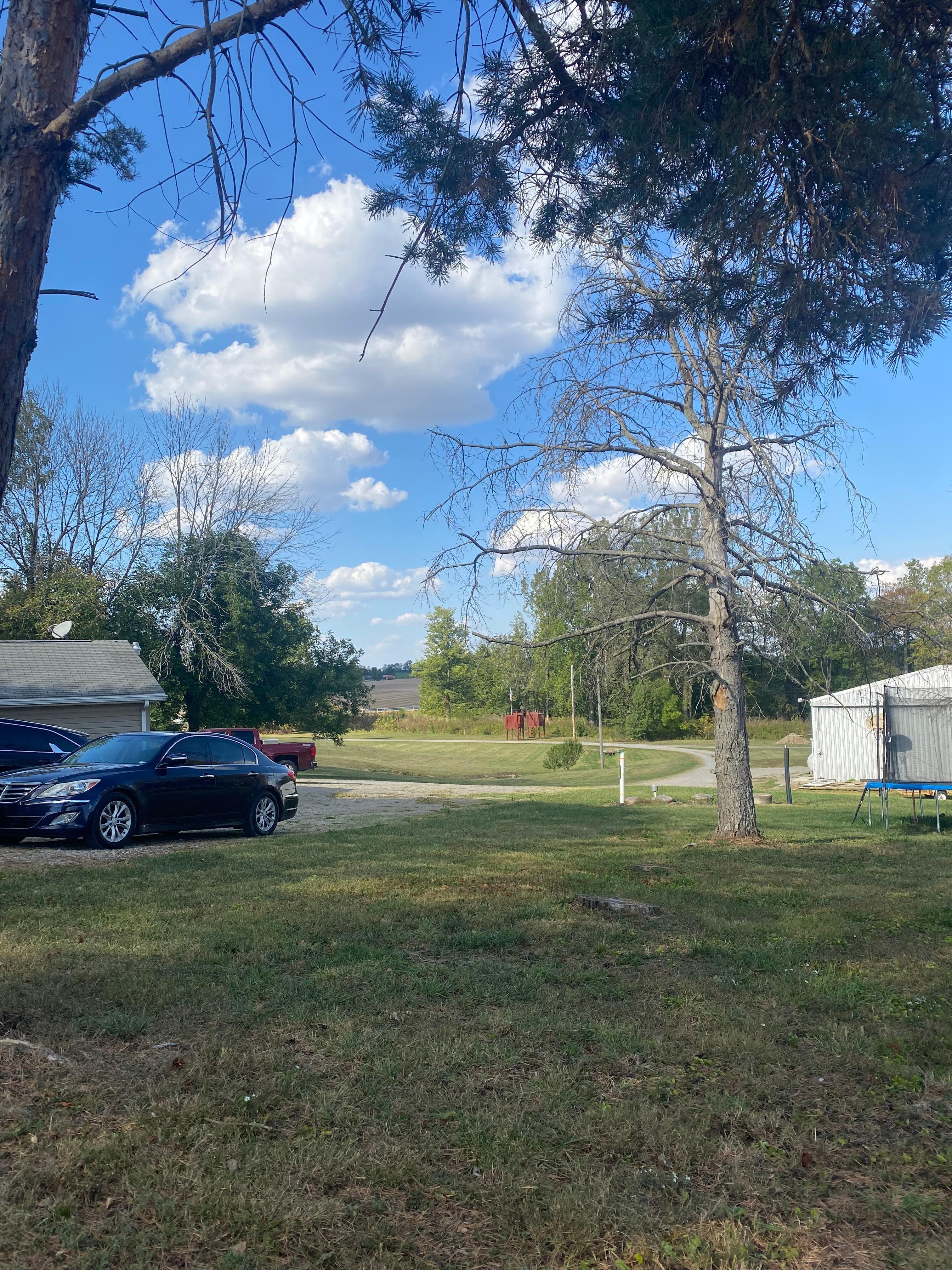 Our view from the front door. Loving the country!