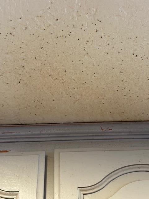 above the cooktop in kitchen