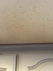 above the cooktop in kitchen