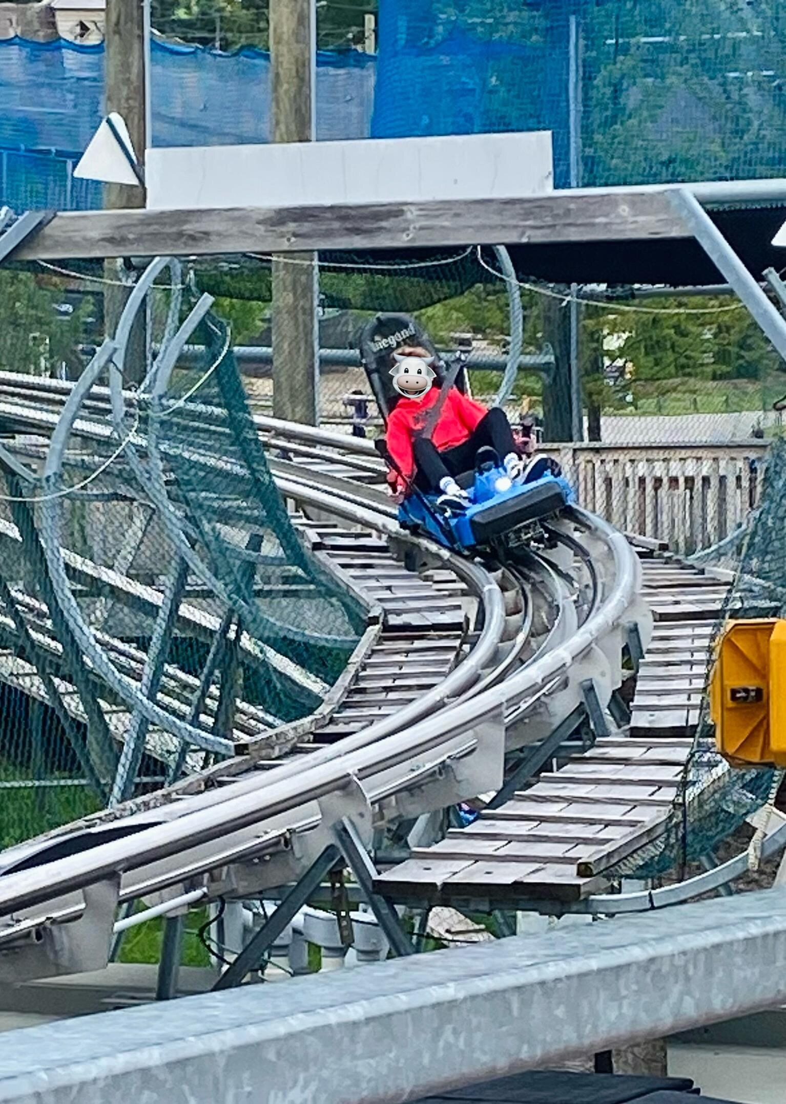 Ridge Runner Mountain Coaster