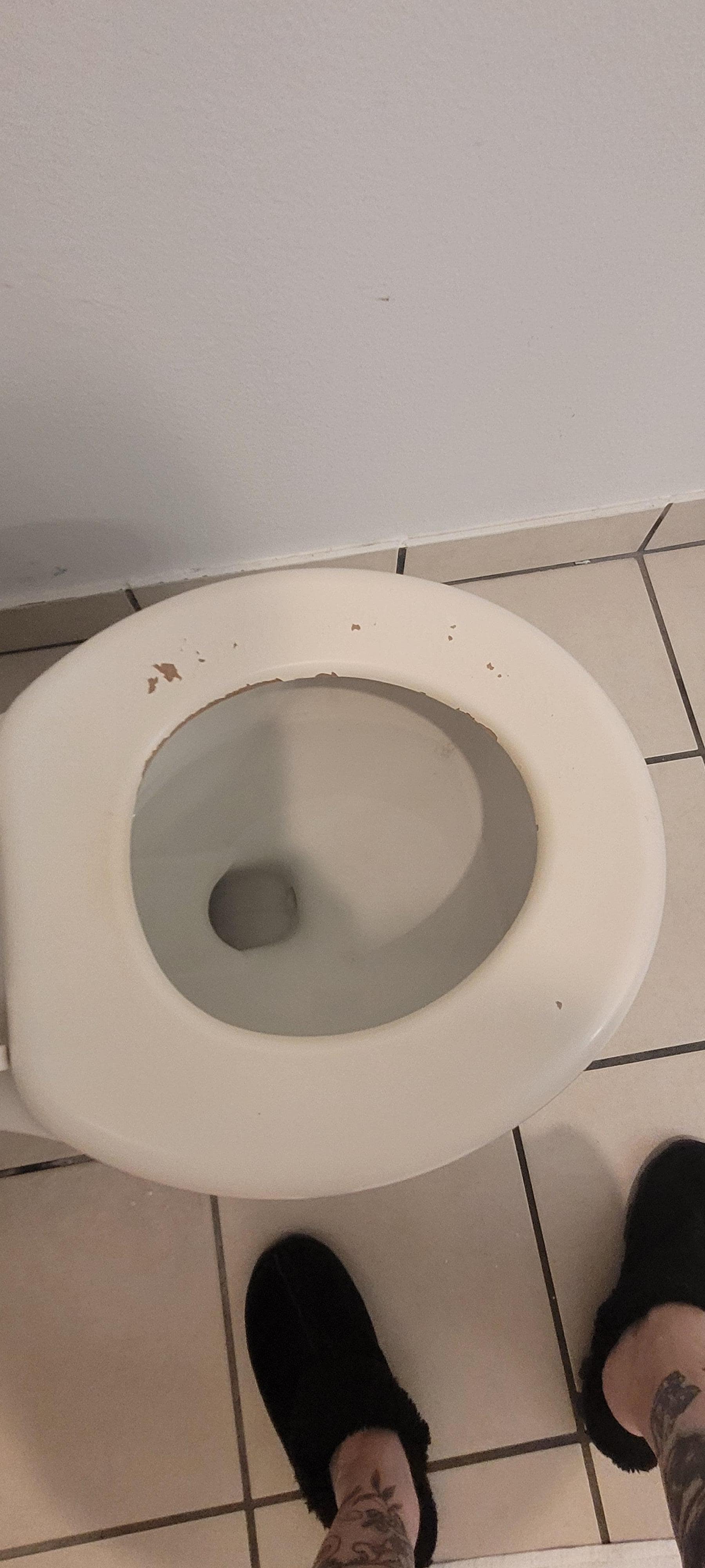 Toilet seat