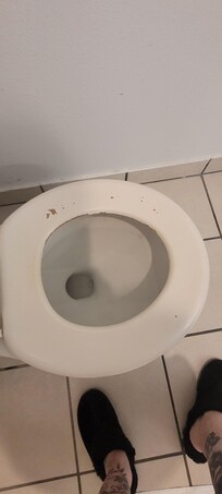 Toilet seat