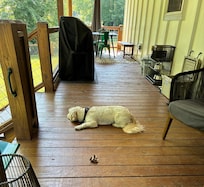 Our dog, Mack, enjoying the porch.