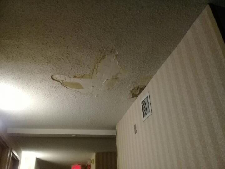 Comfort Inn Gold Coast In Ocean City Hotel Rates Reviews On Orbitz