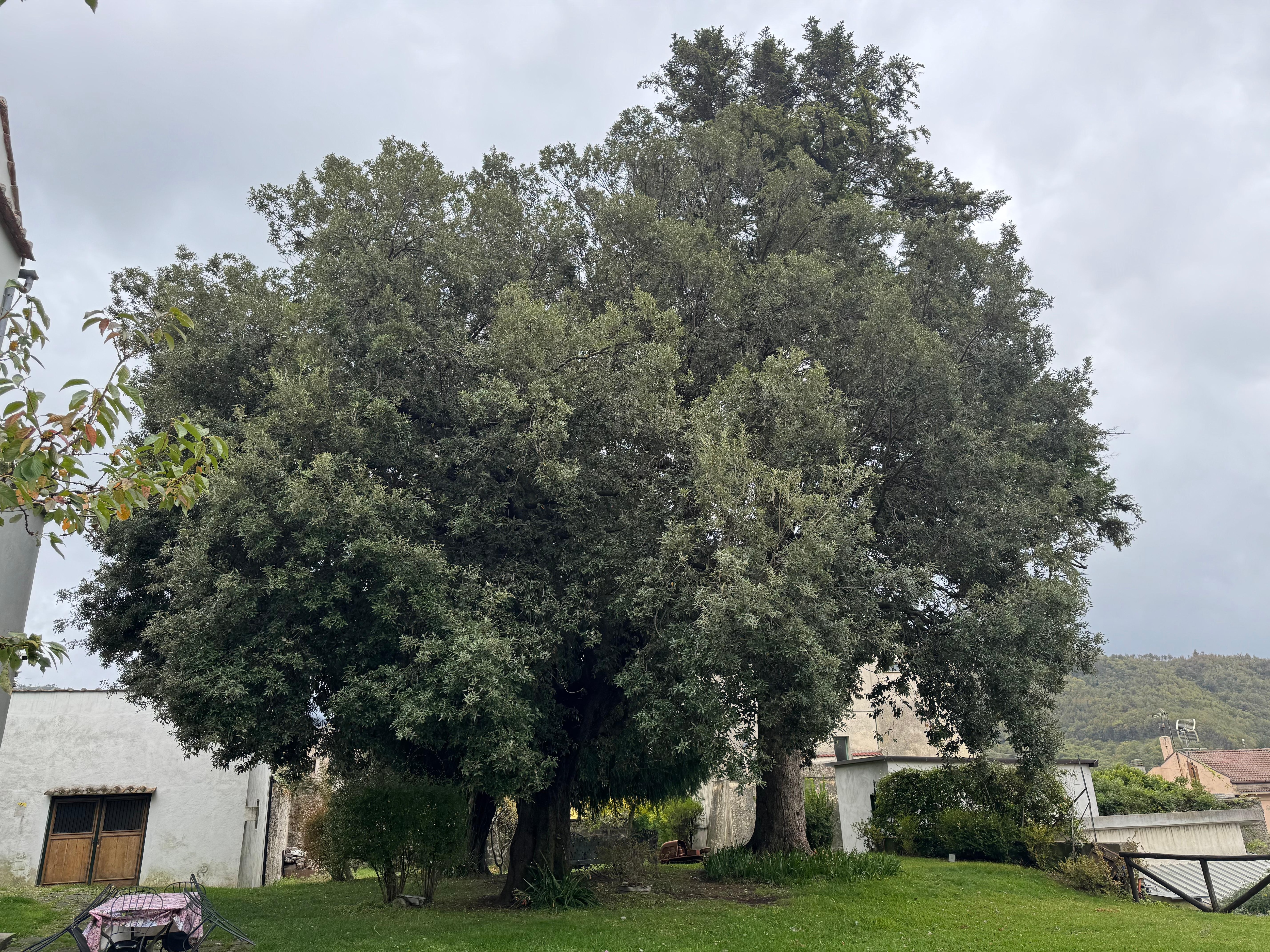 A beautiful and inviting backyard 