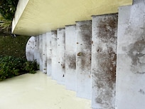 Moldy slippery stairs