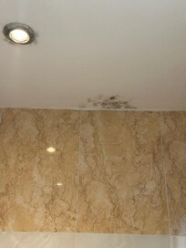 Black mould in bathroom