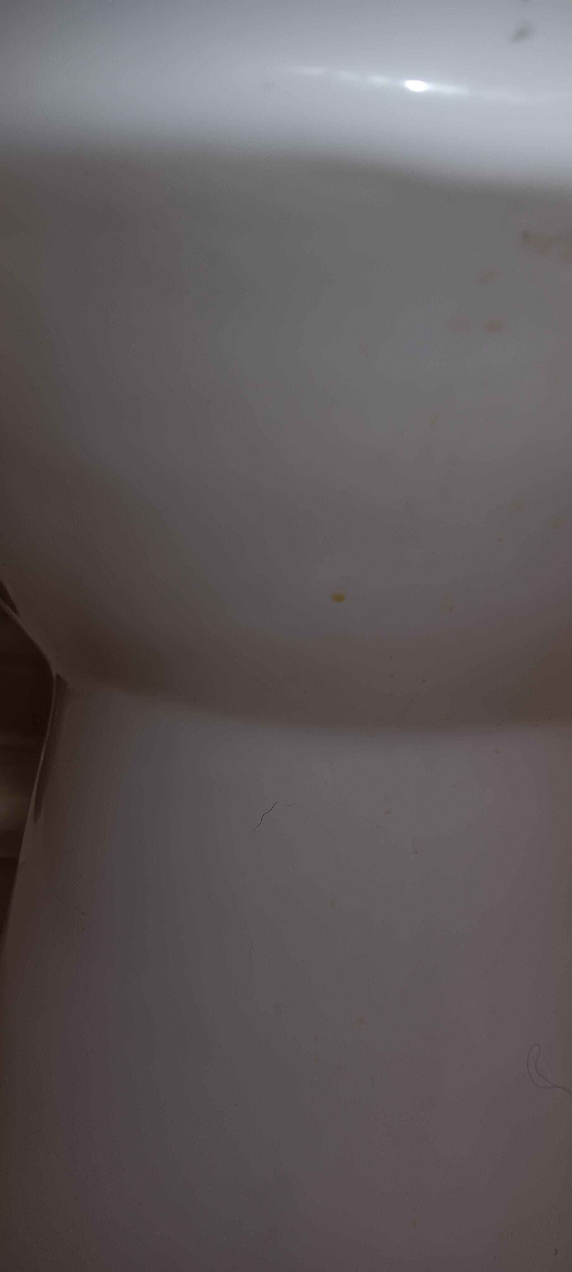 Old urine left on front of toilet bowl. Very strong, nasty odor.