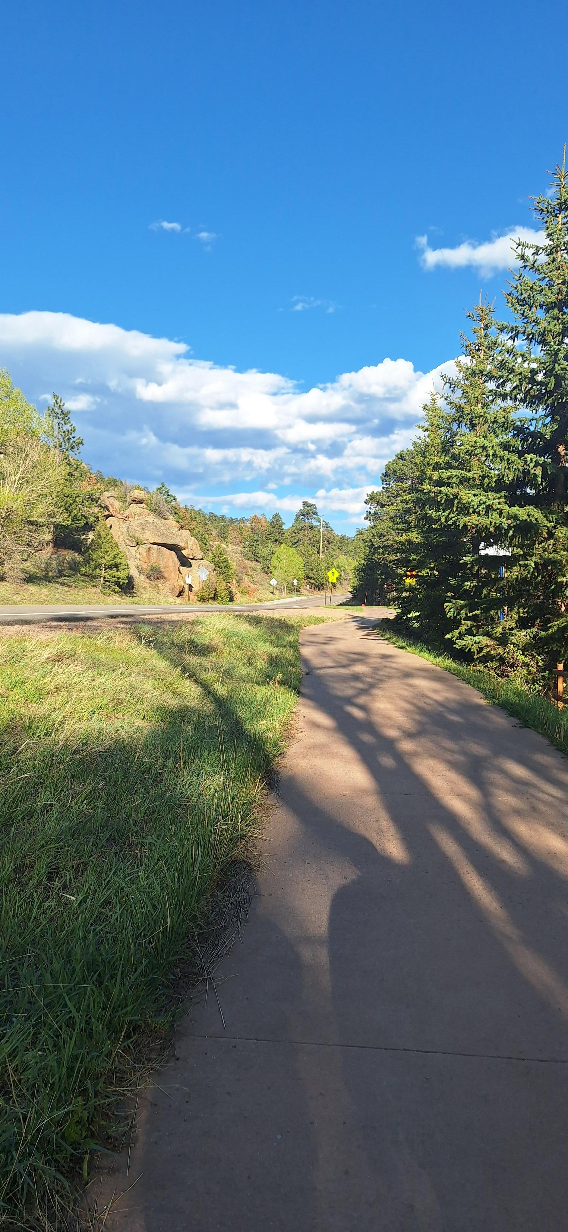 The walking path close by the cabin. 