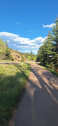 The walking path close by the cabin.
