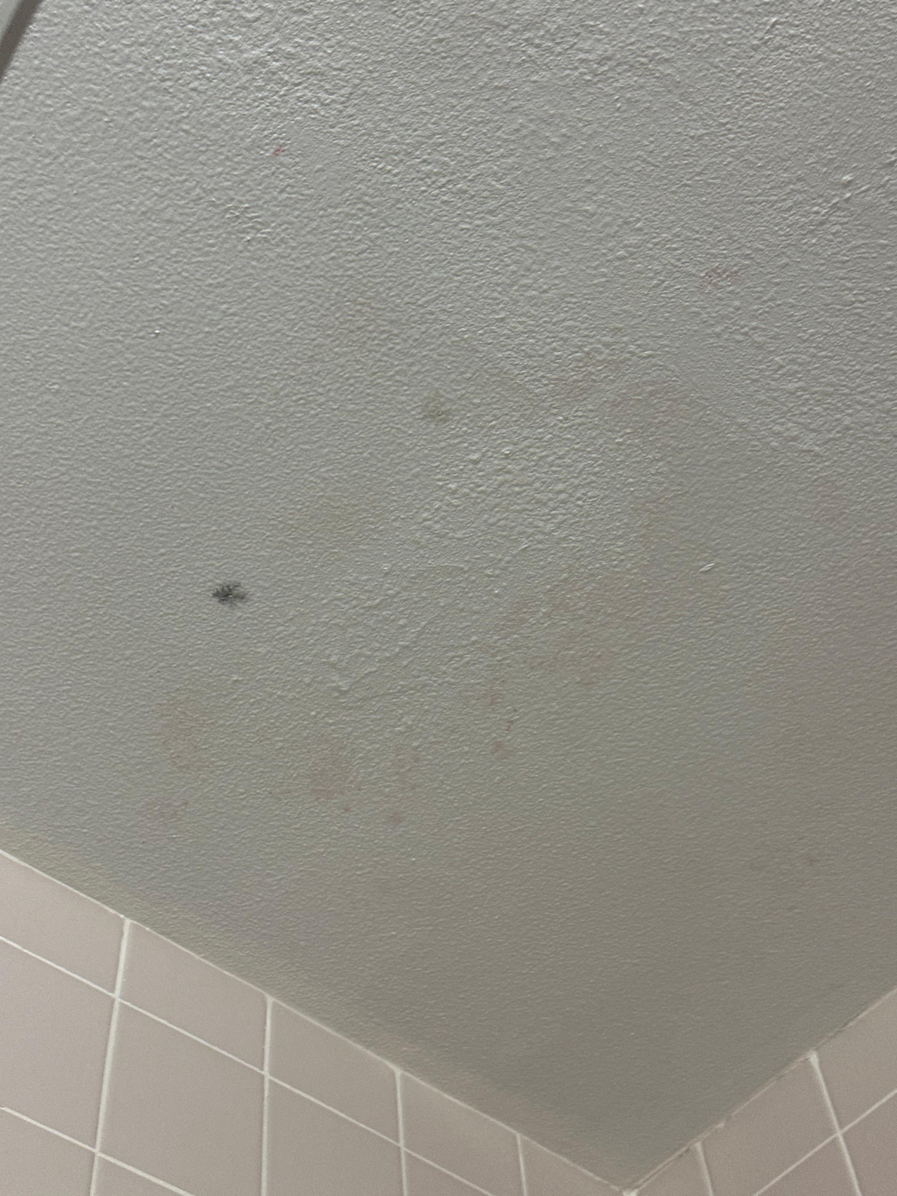 Ceiling of the shower 