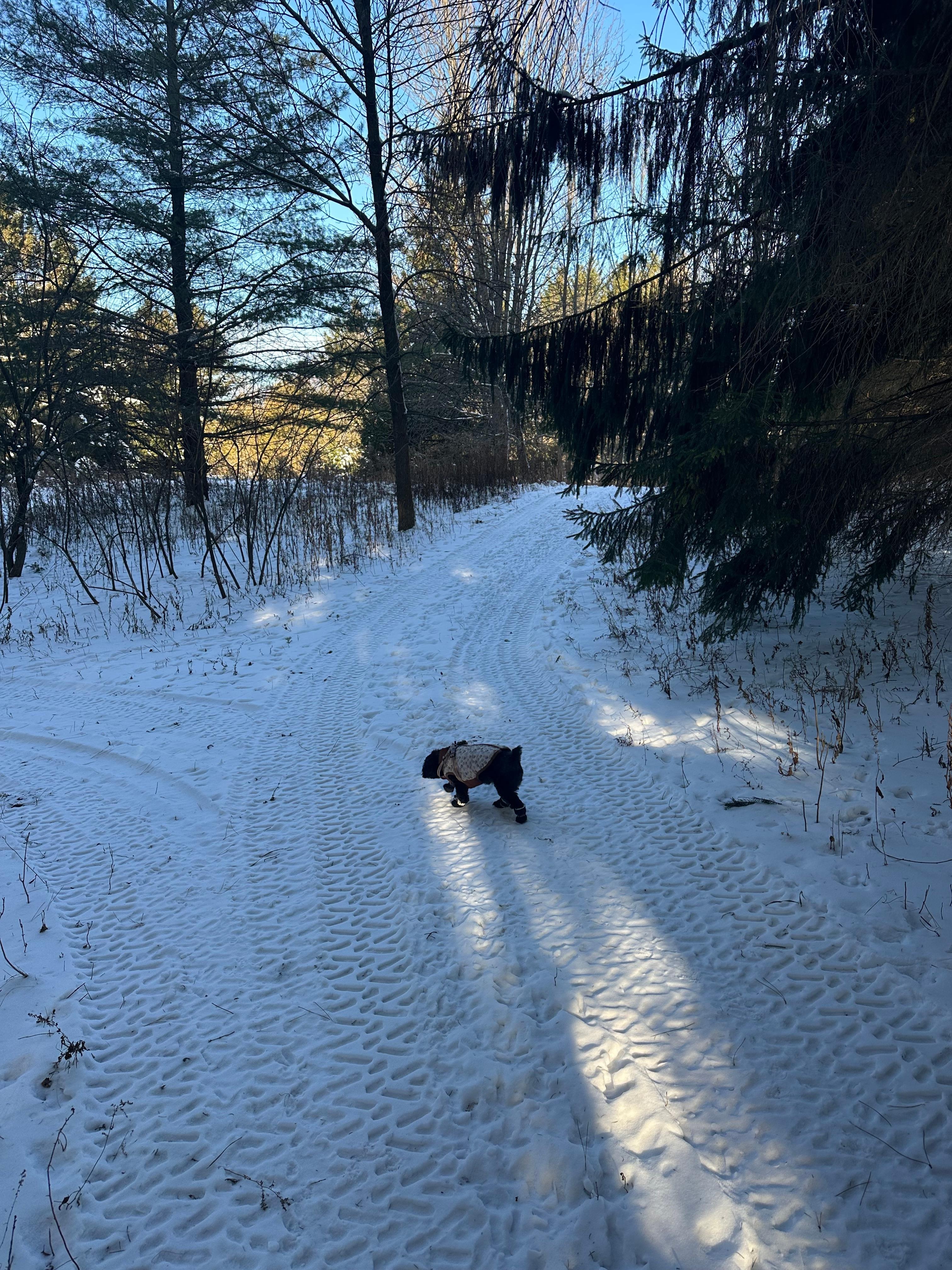 My nature girl loves the woods. 