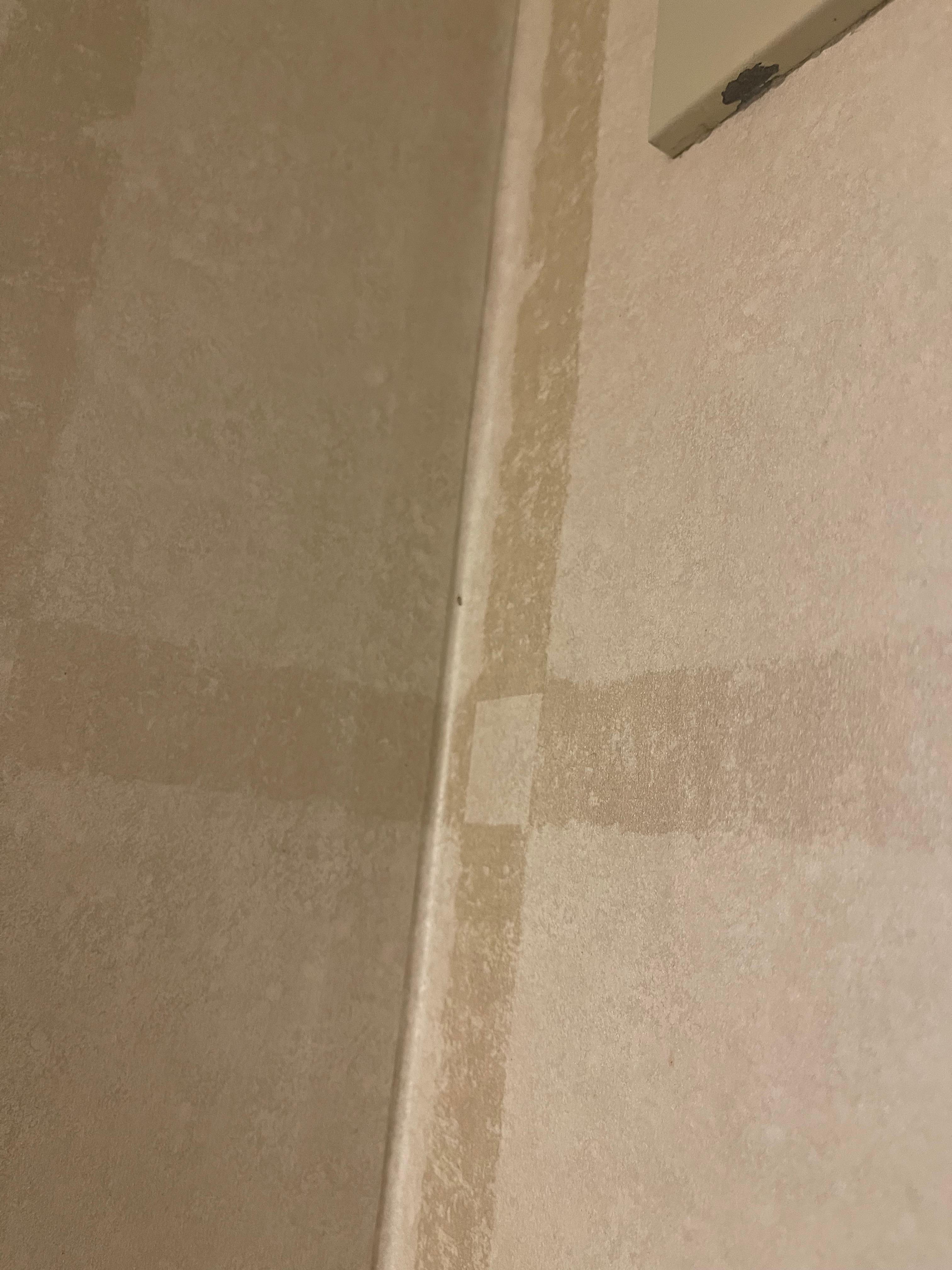 Ants on the wall. 

I have video. Can’t upload 