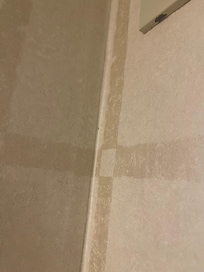 Ants on the wall. 
I have video. Can’t upload