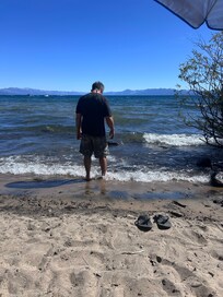 Walked right down to the beach