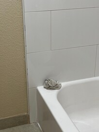 Dirty washcloth left on tub