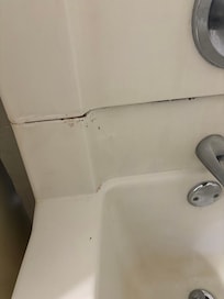 Mold coming out of seams.