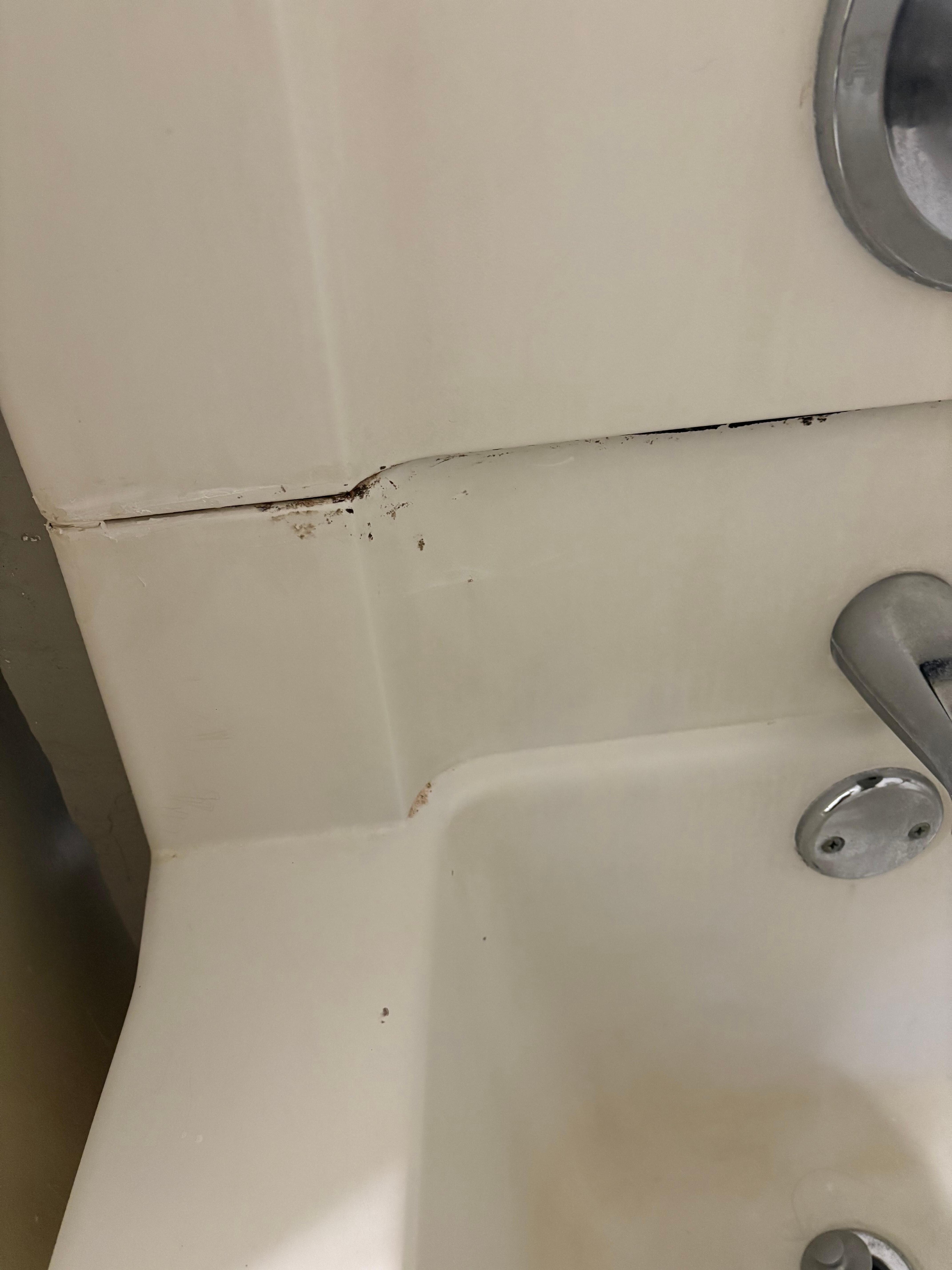 Mold coming out of seams.