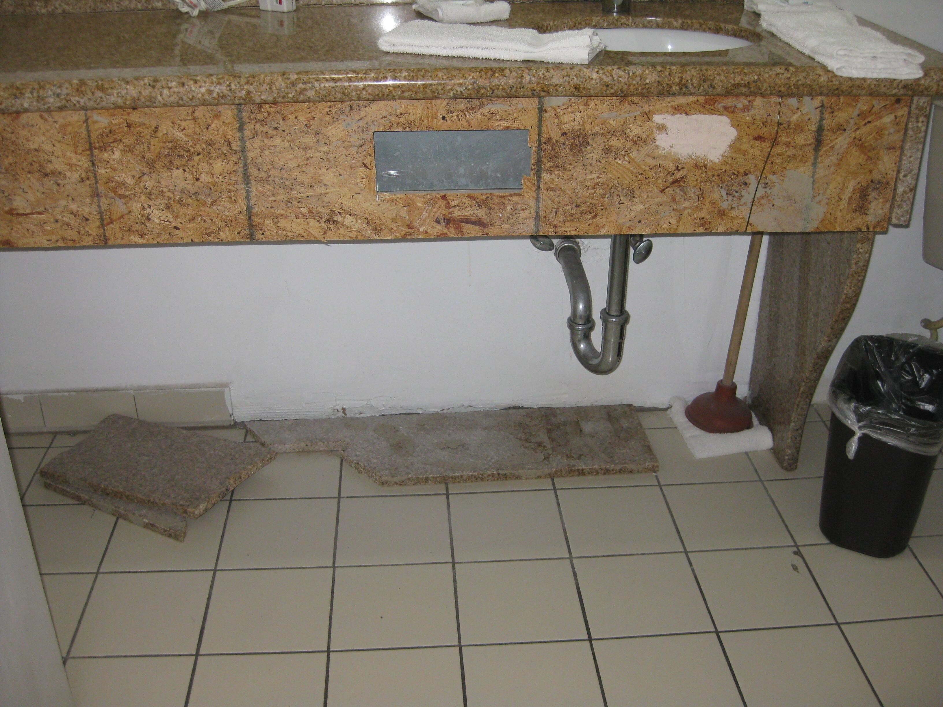 Bathroom mold