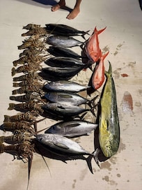 Lots of great fishing and lobstering!