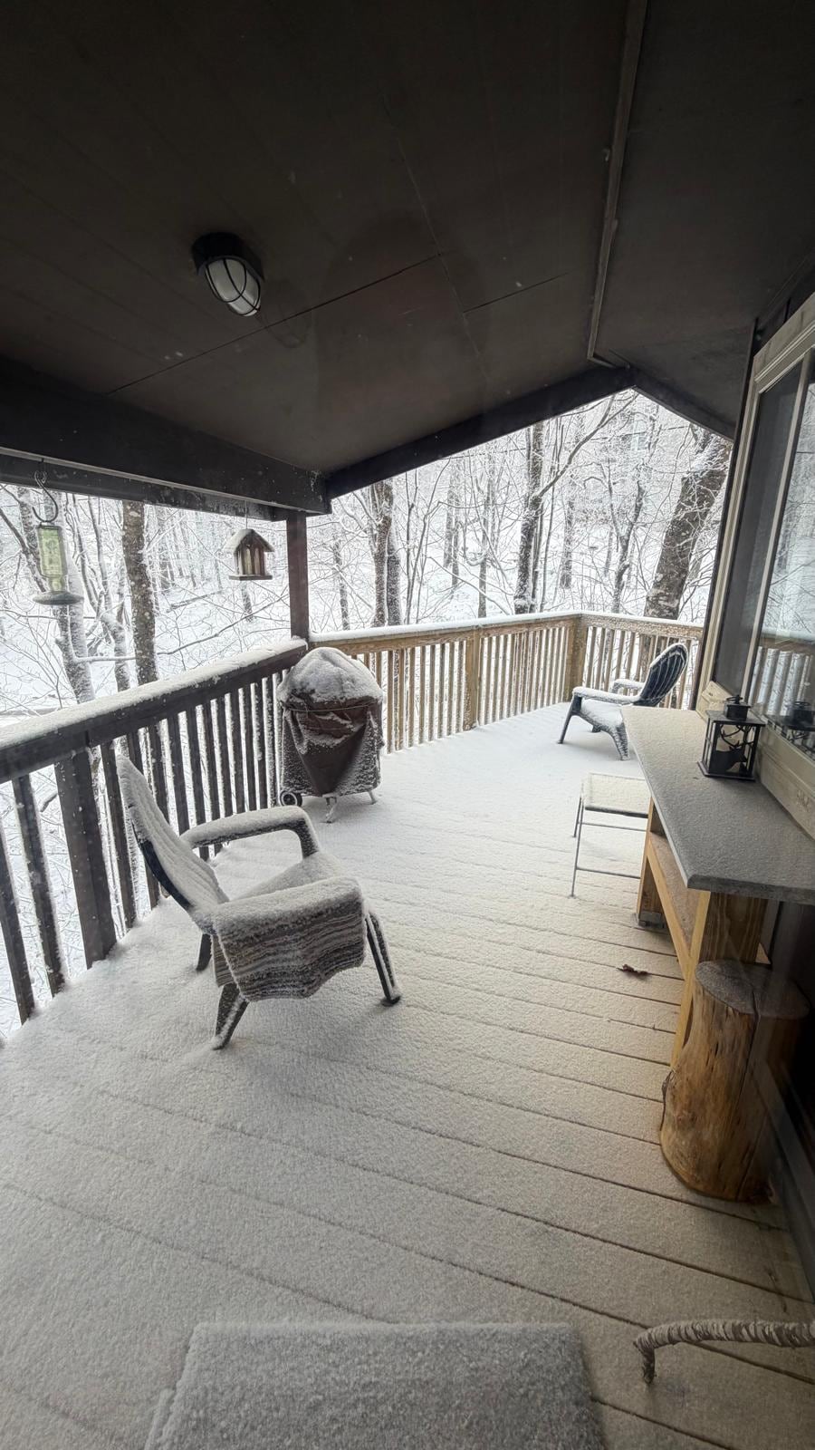 Outside the house, on the day that blessed us with a day of snow, the place was very beautiful.