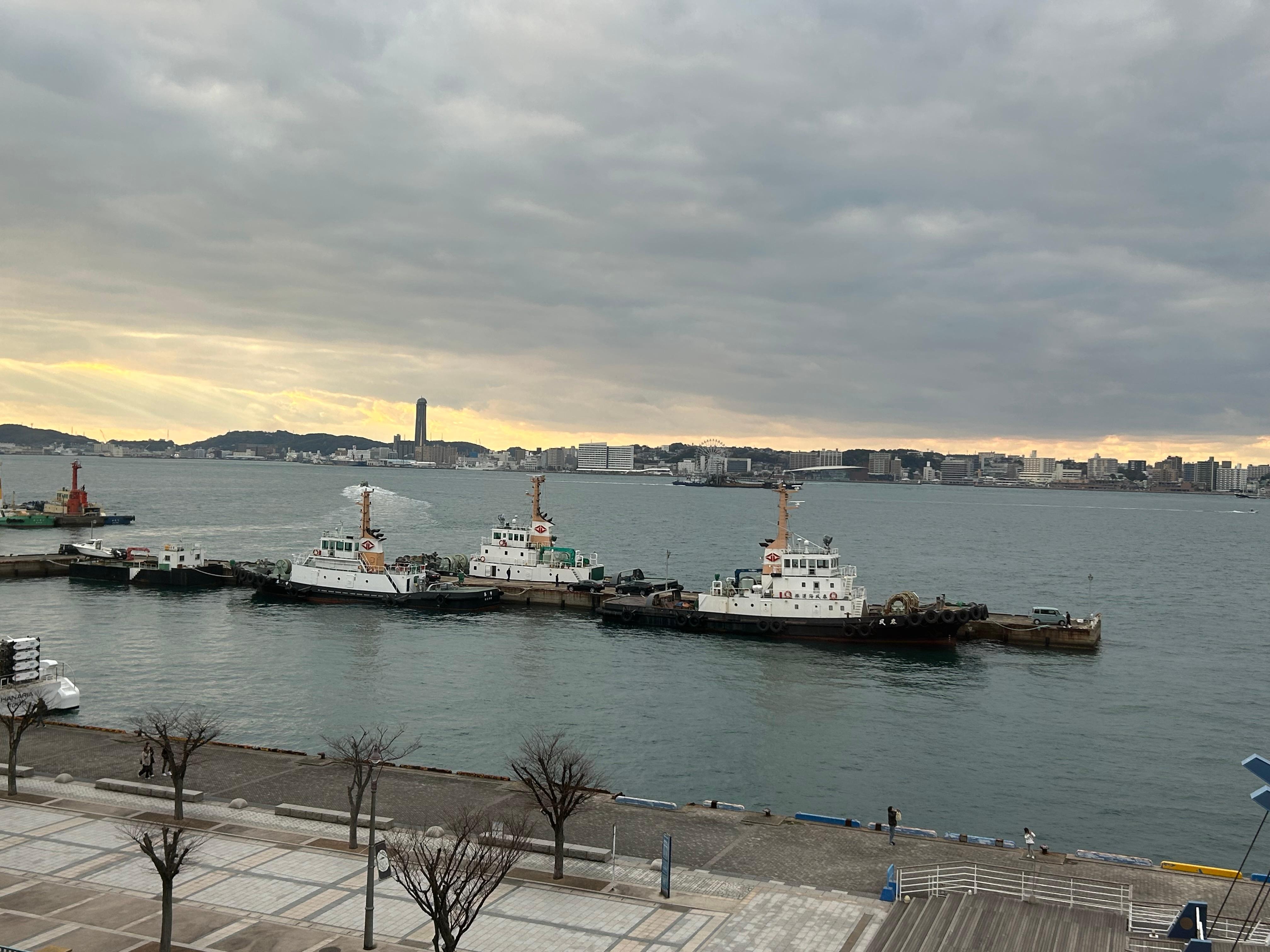 部屋からの眺め