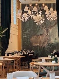 This is the dining room.