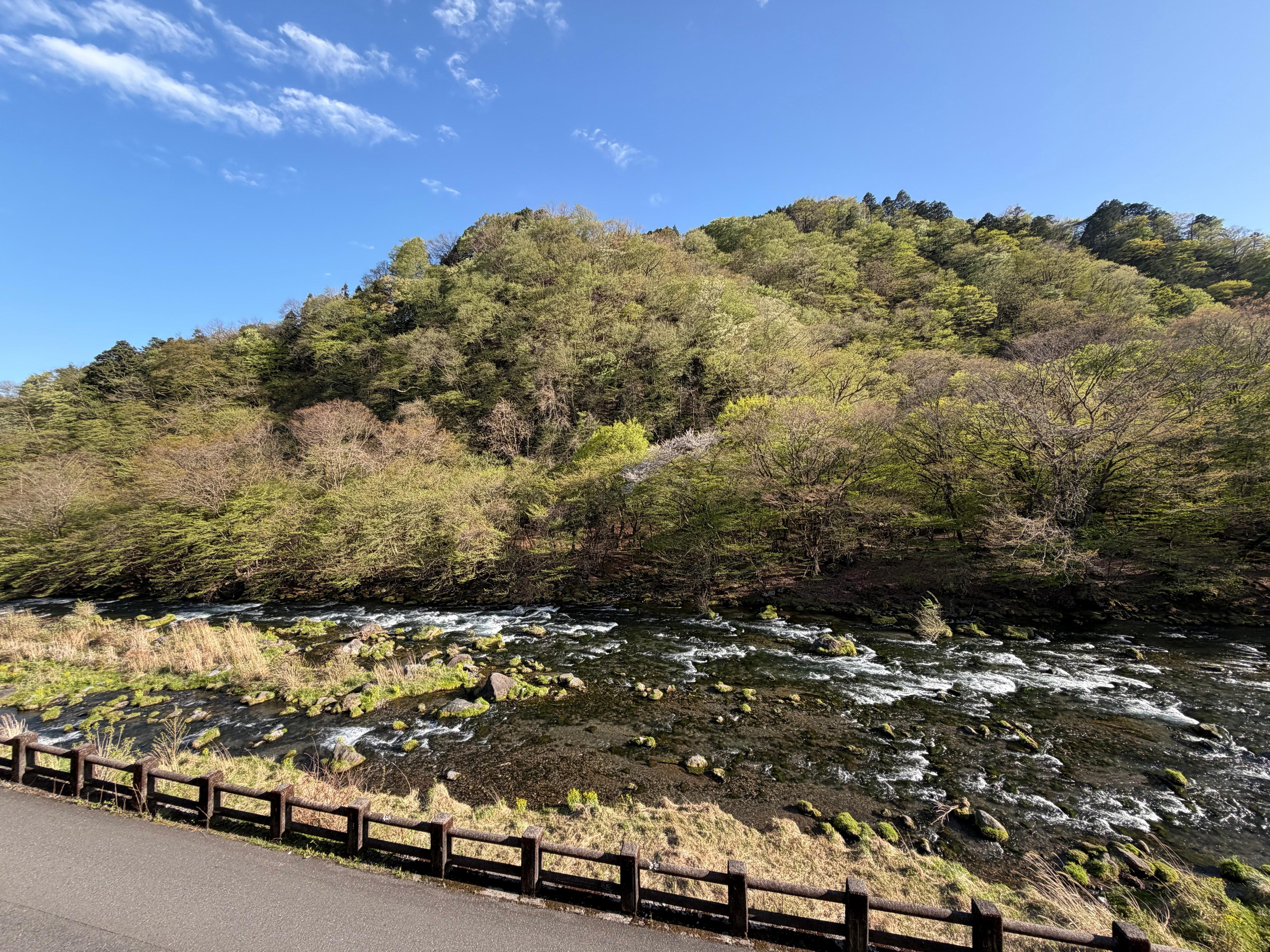 お部屋の大谷川がきれいでした😍