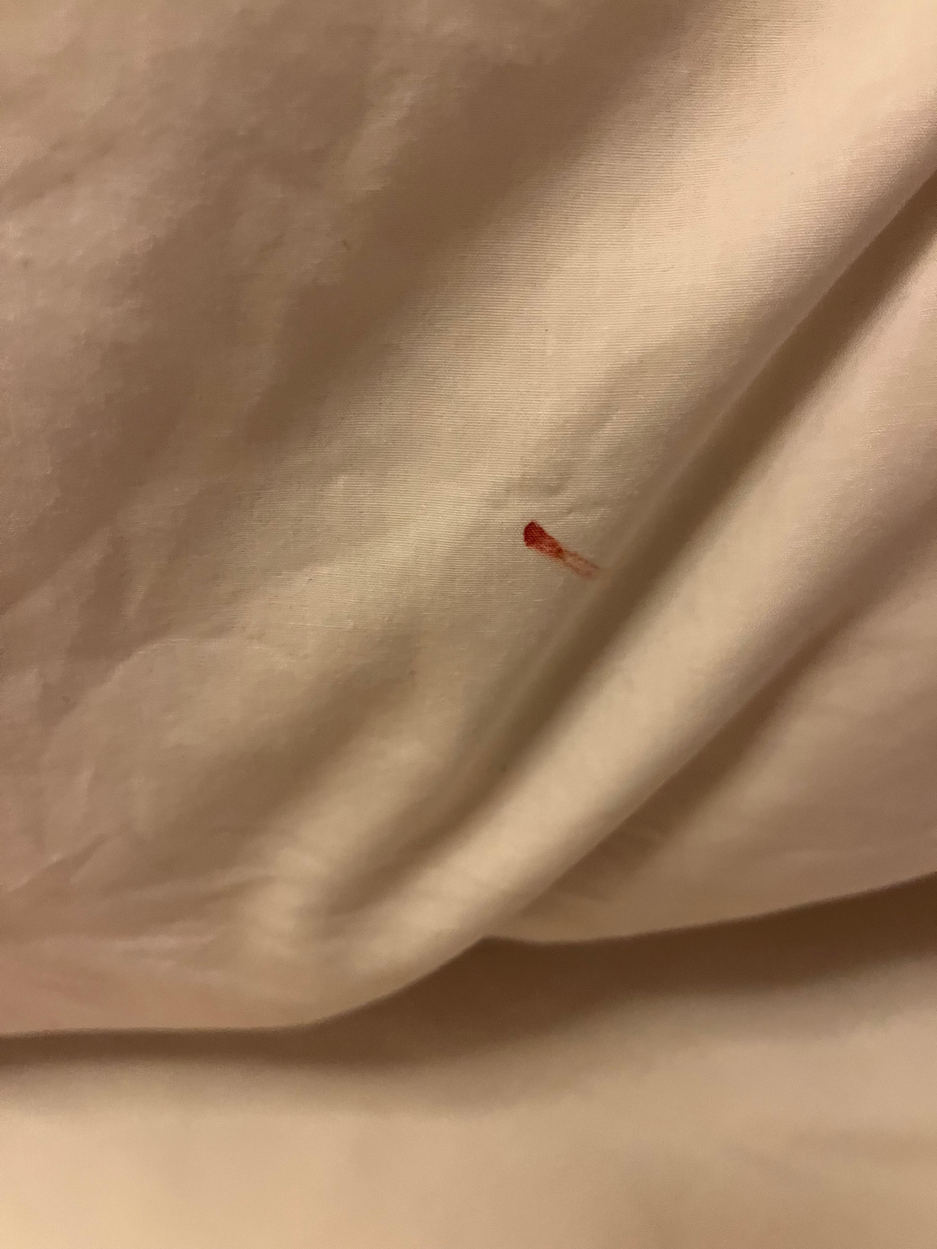 Aplastamos a los insectos y dejaban rastros de sangre 