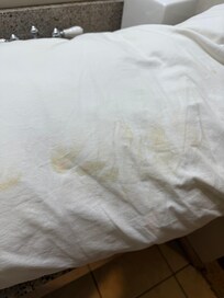 Stained/dirty pillow on the bed when I arrived.