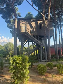 Cabane