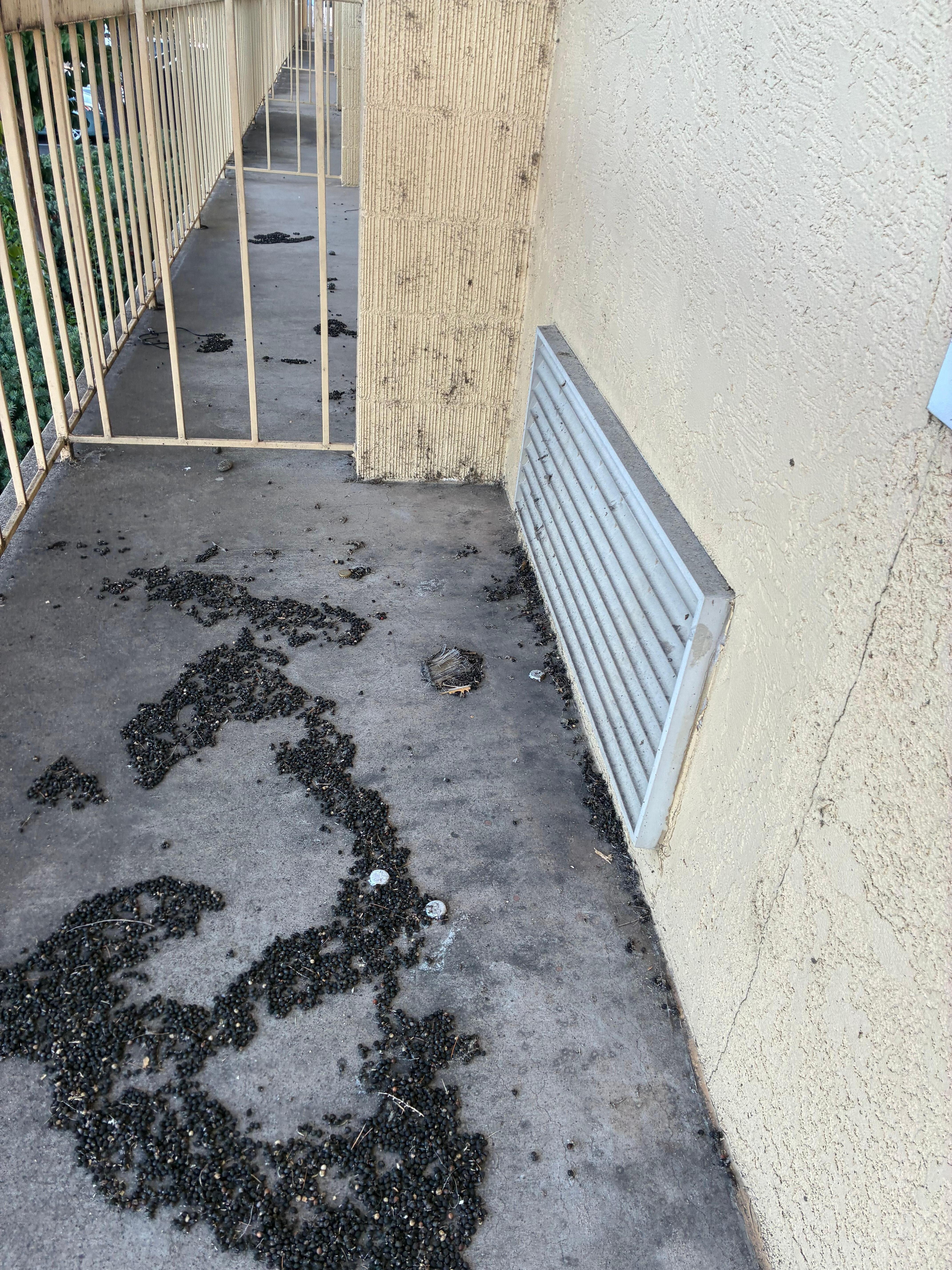 Poop outside window AC