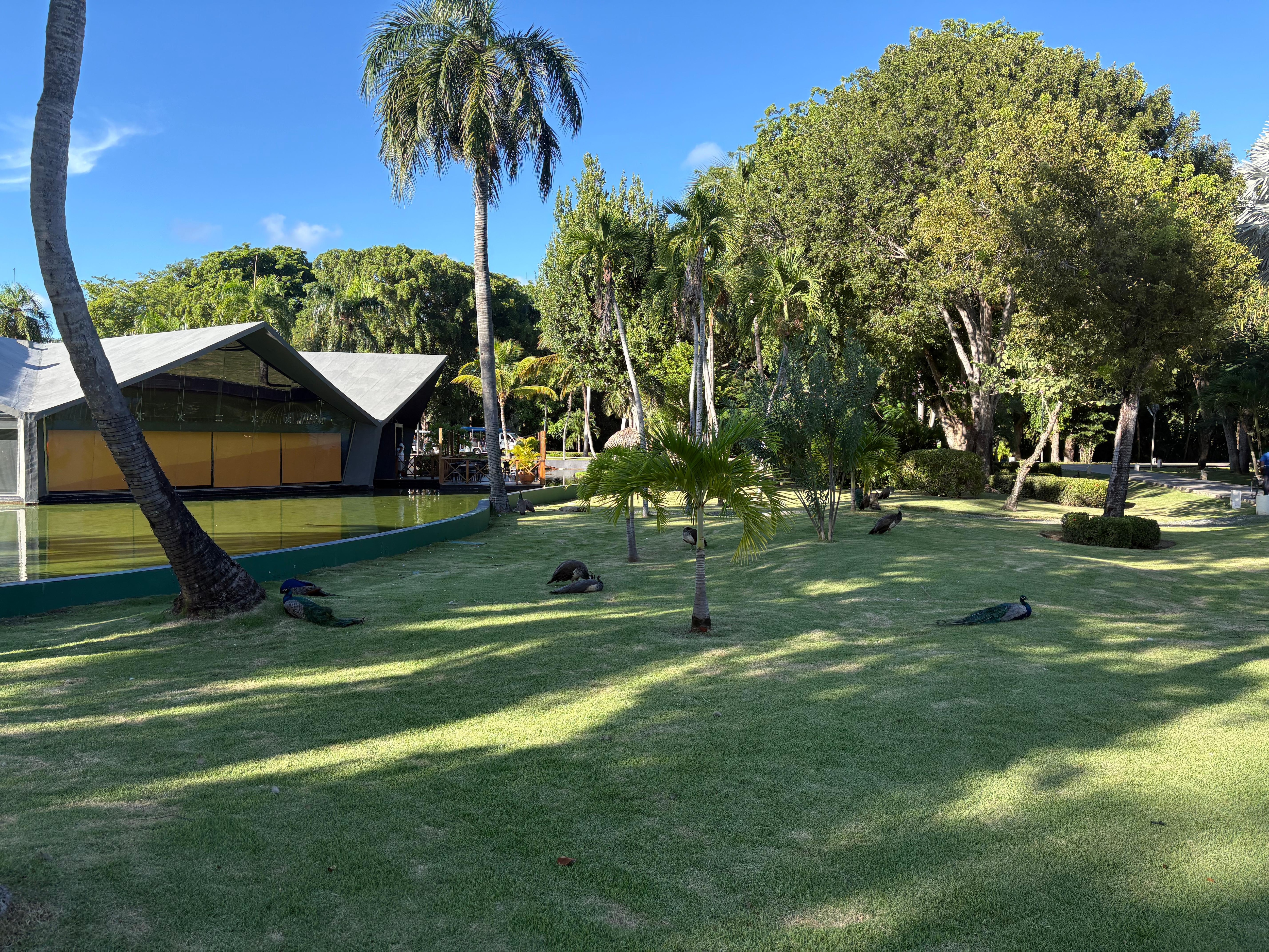 The grounds, looking towards the Indian restaurant. 