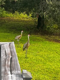 I had guests while staying there!