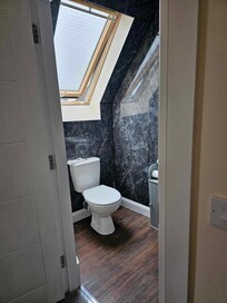 Toilet and window above