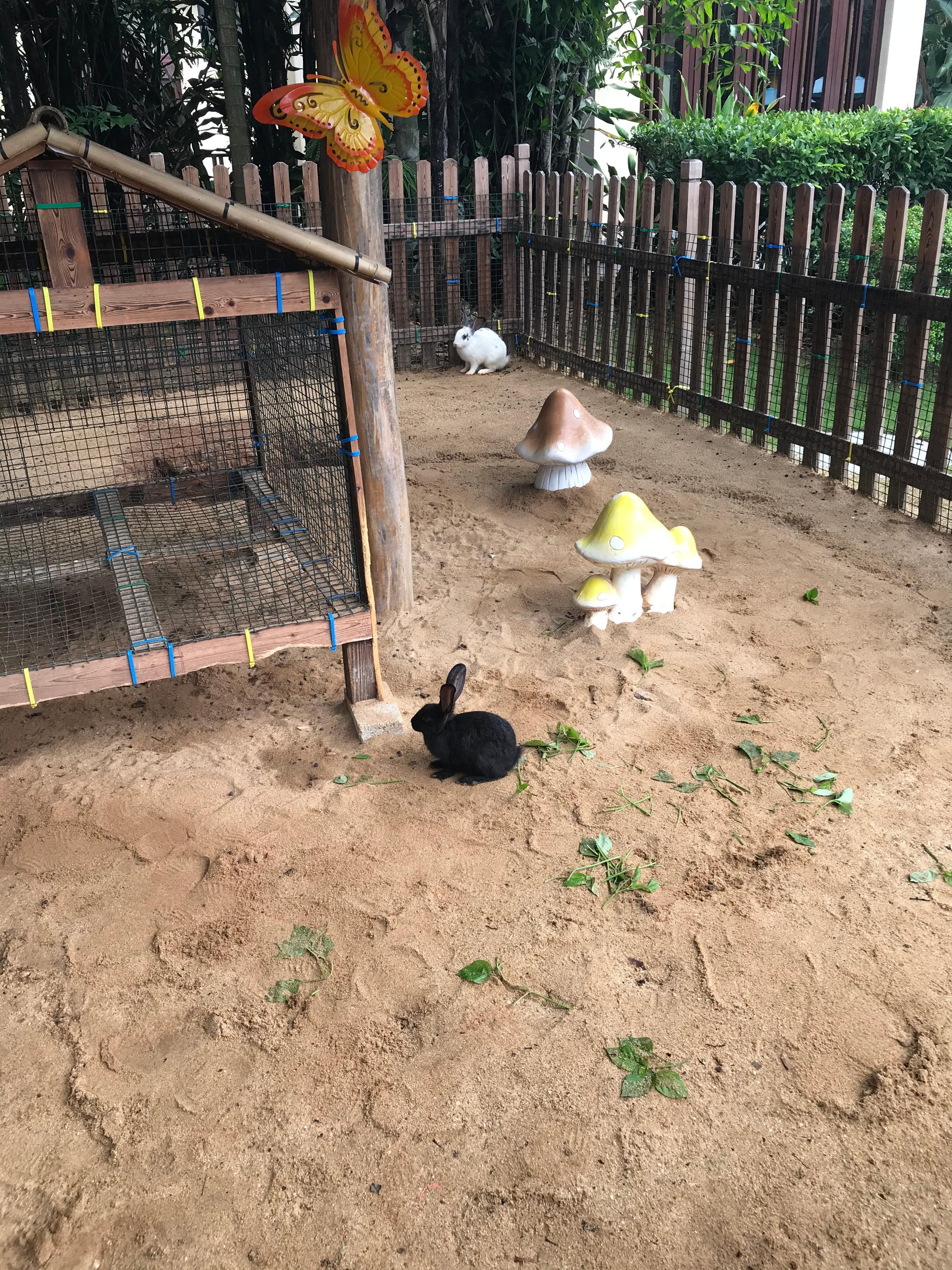 酒店有個小動物園區